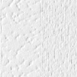 Linea